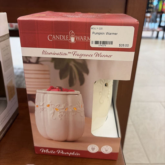 Pumpkin Warmer